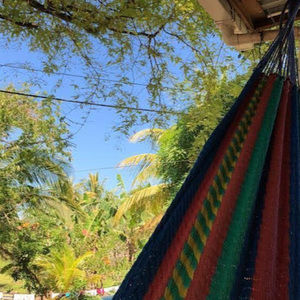 Meet your Posher, Wendy